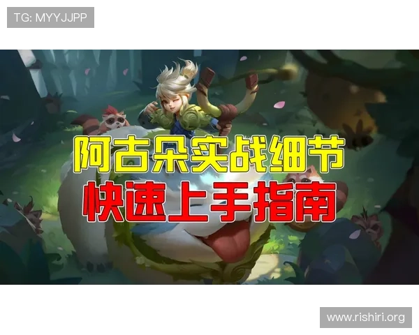 如何快速找到球盟会官网地址确保账号安全与游戏体验优化指南